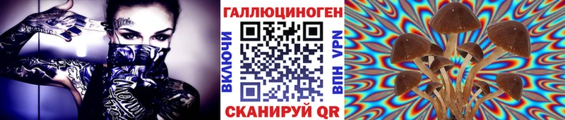 Псилоцибиновые грибы прущие грибы  Слюдянка 
